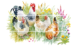 Mozaiek haan met kippen (6x4 stickers)