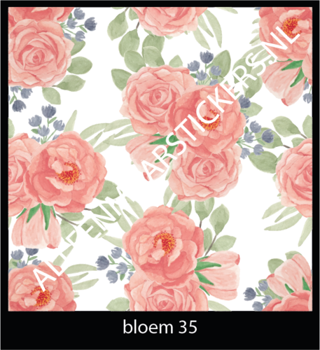 Bloem 35