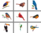 tegelstickerset vogels 1 rechthoekig (9 stickers)