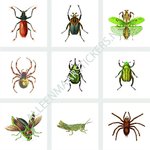 Tegelstickerset insecten 2 (9 stickers per set)