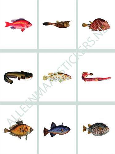Tegelstickerset tropische vissen 2 rechthoekig (9 stickers per set)