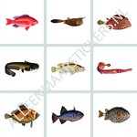 Tegelstickerset tropische vissen 3 (9 stickers per set)