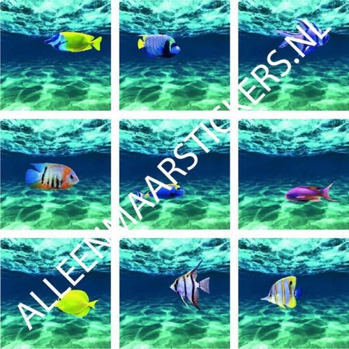 Tegelstickerset tropische vissen 4 (9 stickers per set)